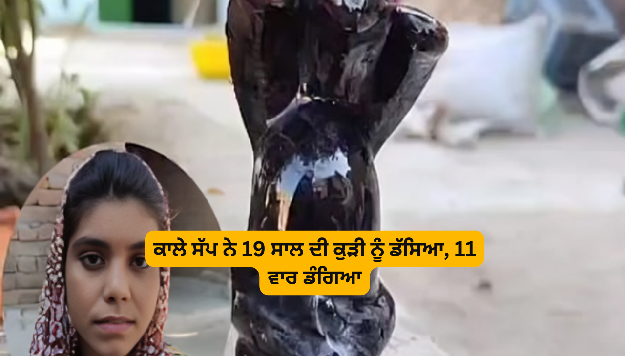 ਕਾਲੇ ਸੱਪ ਨੇ 19 ਸਾਲ ਦੀ ਕੁੜੀ ਨੂੰ ਡੱਸਿਆ, 11 ਵਾਰ ਡੰਗਿਆ